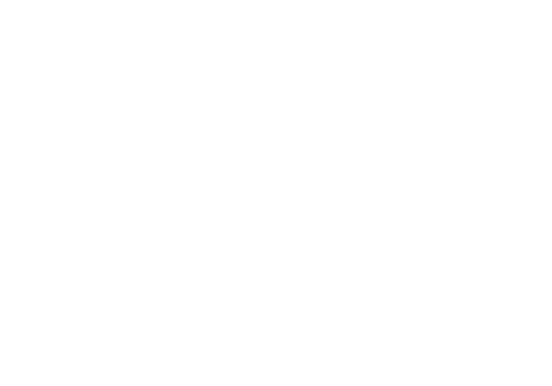 Scheer PAS Project Excellence - EVN Logo white
