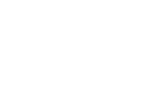 Scheer PAS Project Excellence - Nikon Logo white
