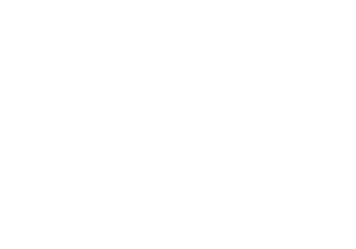 Scheer PAS Project Excellence - Toyota Logo white